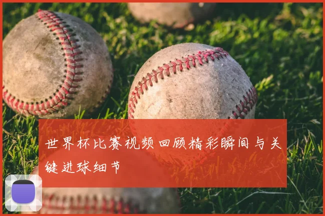 世界杯比赛视频回顾精彩瞬间与关键进球细节